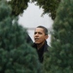 a Obama and Xmas tree